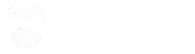 Wellness Evolved
